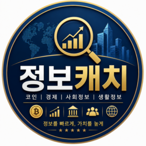정보캐치